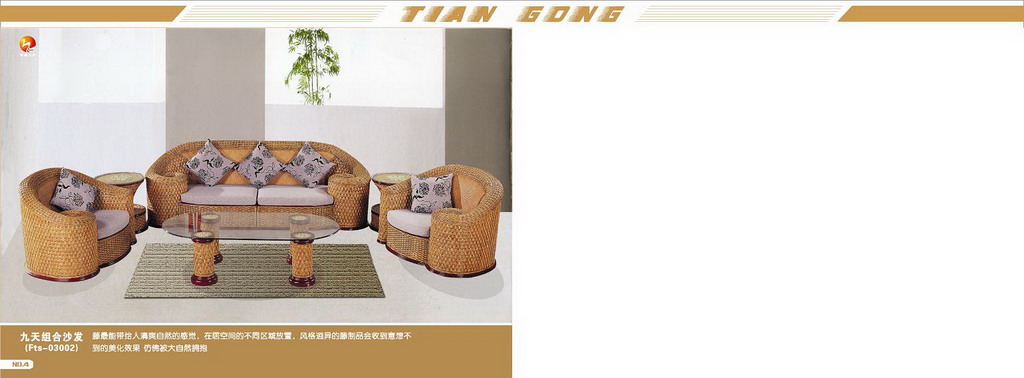 rattan sofa set