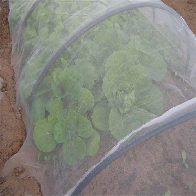 Insect proof net / anti insect net for greenhouse