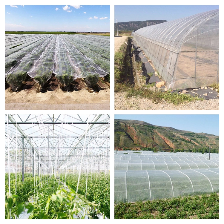 Insect proof net / anti insect net for greenhouse