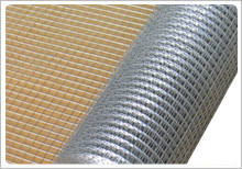 Stainless Steel Welded Wire Mesh