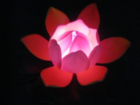 LED Flower Lantern