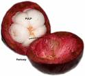 Mangosteen *****