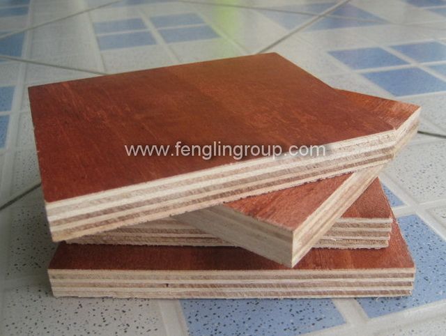 Construction Plywood (Eucalyptus/Hardwood)