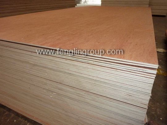 Plywood for Packing (Eucalyptus/Hardwood)
