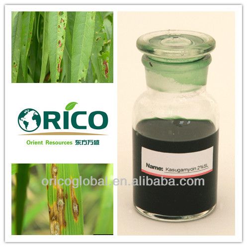 China Rice blast control Kasugamycin fungicide