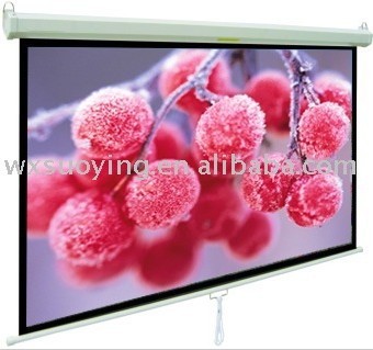 Manual pull-down projection screen