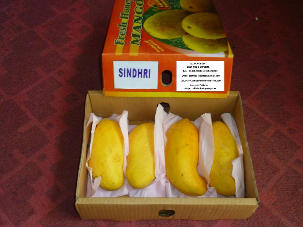 Pakistani Mango