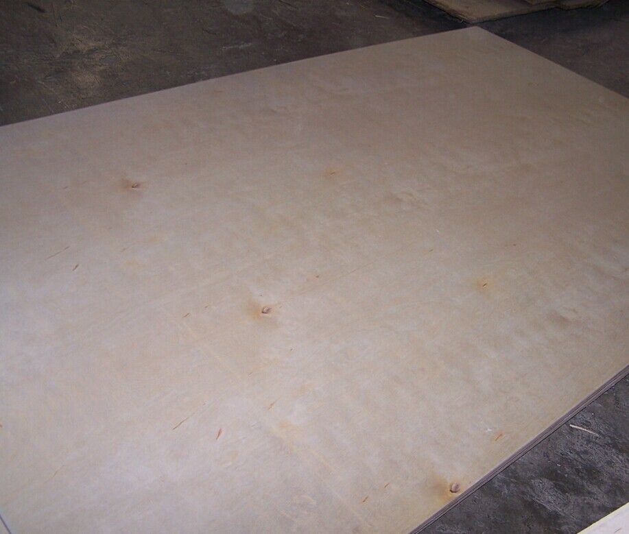 Birch plywood