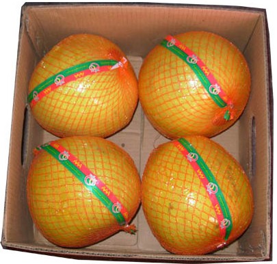 Pomelo fruit