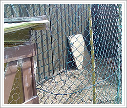 PVC coated chicken wire