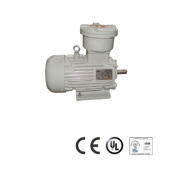 PPD series flameproof three-phase ac motor