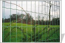 Euro Fence