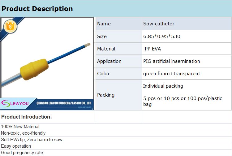 Sow Catheter