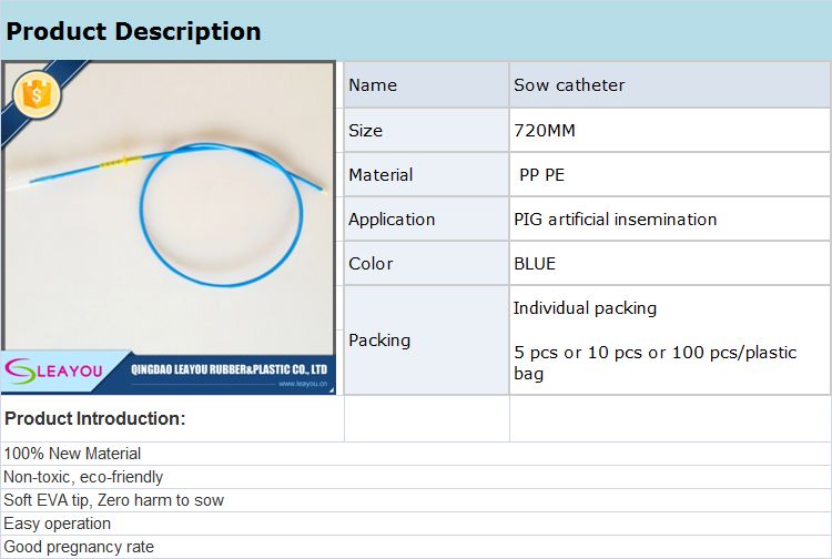 Sow Catheter