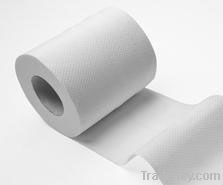 toilet tissue