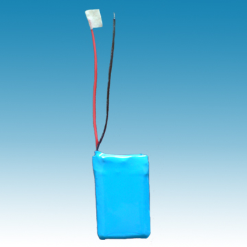 lithium polymer battery packs