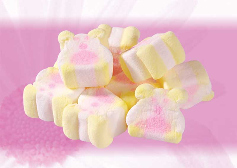 ZS003 Cute Bear Marshmallow Candy 1kg