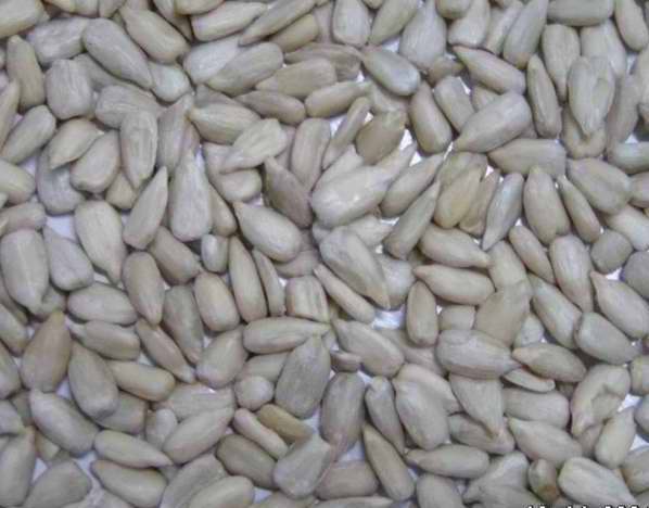 Chinese Hulled Sunflower Kernels