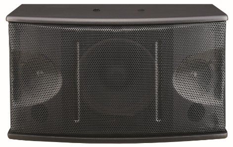 club speaker pro audio loudspeaker K-210B