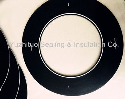 Flange Isolating Gaskets for Very Critical Service