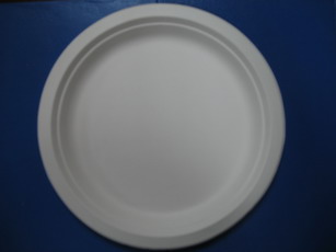 9" round plate