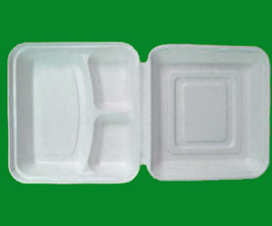 10" three compartment meal box