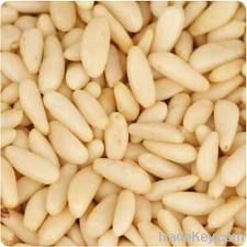 PINE NUT KERNELS