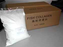 Fish Collagen Peptide, Fish Collagen Protein