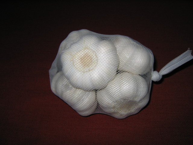 Garlic