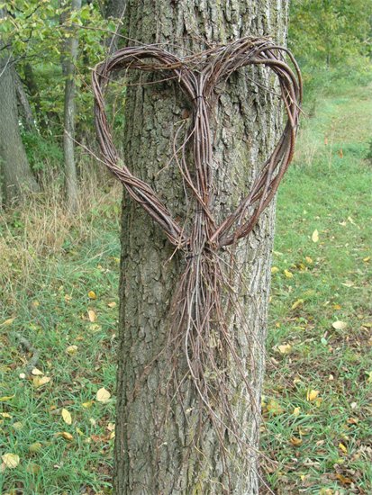 Birch Heart Wreath