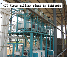 Flour mill/Flour machine/flour milling machinery/roller/maize