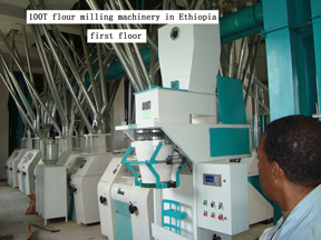 Flour mill/Flour machine/flour milling machinery/grinder/maize