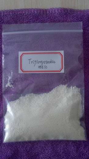 Trifloxystrobin 98%TC, 50%WG