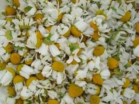 Chamomile Flowers