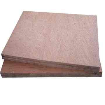 Bintangor plywood