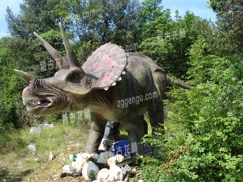 Animatronics Triceratops