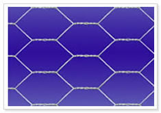 Hexagonal Wire Netting