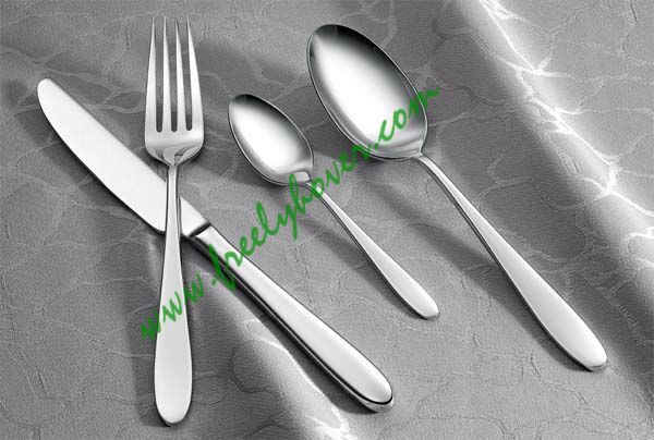 flatware and stainless steel cutlery
