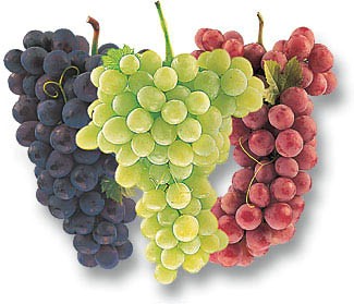 grapes