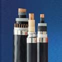 XLPE Insulated Electrical Cable