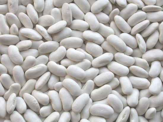 white kidney beans and broad beans