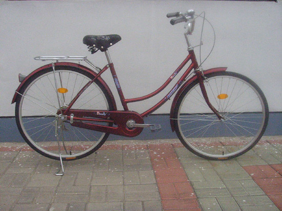 lady bicycle
