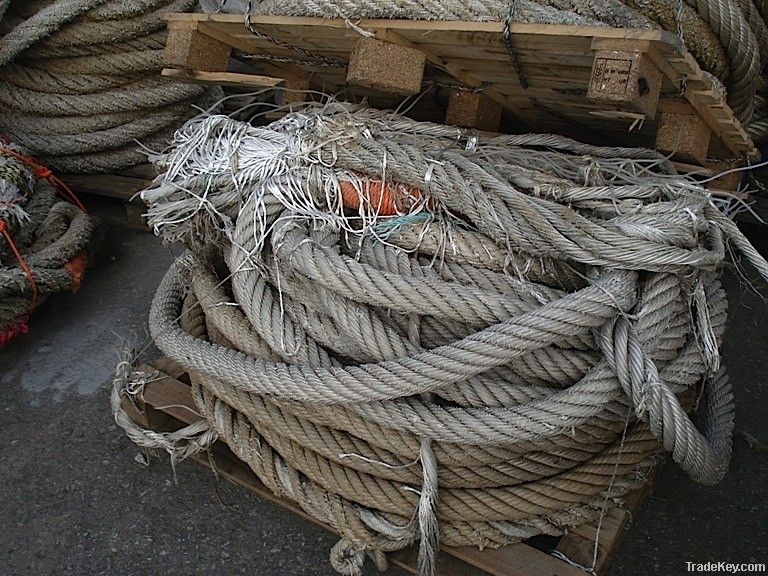 PP rope scrap from collecting harbour