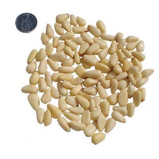 Pine Nuts