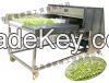 Celery Cutting Machine