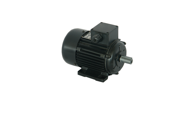 JZ series mini-asynchronism motors