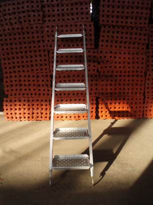 steel scaffold ladder