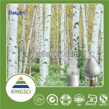 Natural Betulinic Acid Powder White Birch Bark Extract 98% Best Price in food supplement 