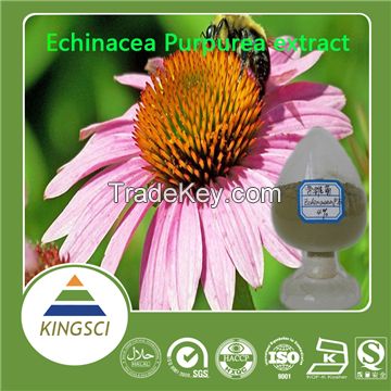 Manufacturer supply Pure Natural Echinacea purpurea Extract Polyphenols/Chicoric Acid