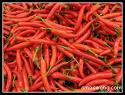 rajasthani red hot chilli powder